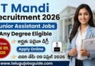 Any Degree తో జూనియర్ అసిస్టెంట్ ఉద్యోగాలు | IIT Mandi Recruitment 2026 Apply Online