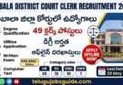 అంబాలా జిల్లా కోర్టులో 49 క్లర్క్ ఉద్యోగాలు 2026 | డిగ్రీ అర్హతతో ప్రభుత్వ ఉద్యోగ అవకాశం | Ambala District Court Clerk Recruitment 2026